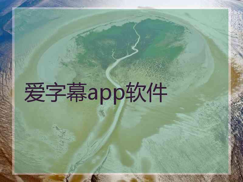 爱字幕app软件