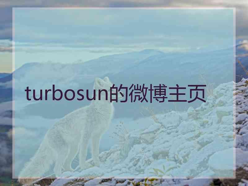 turbosun的微博主页