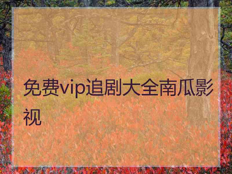 免费vip追剧大全南瓜影视