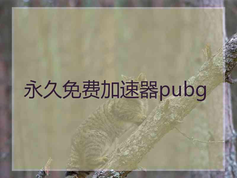 永久免费加速器pubg