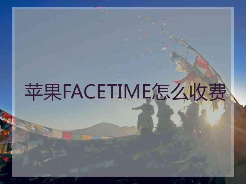 苹果FACETIME怎么收费