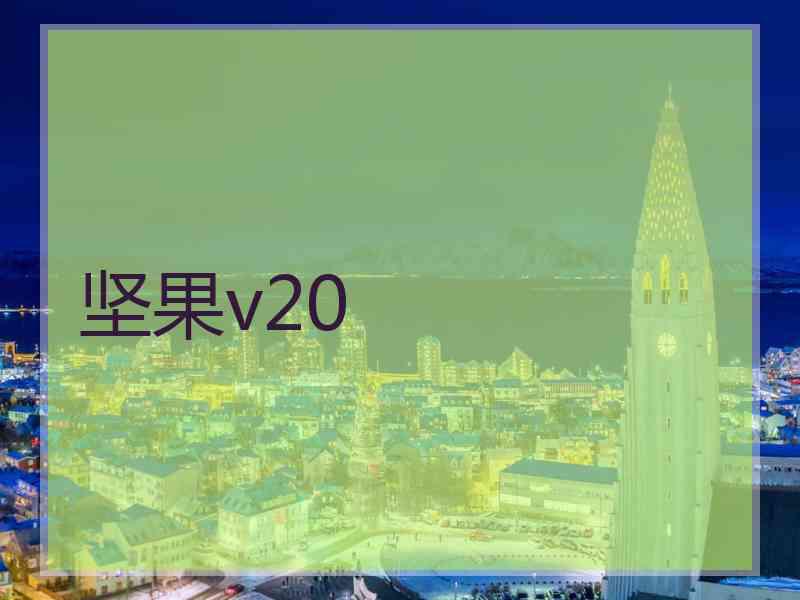 坚果v20