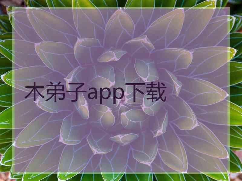 木弟子app下载