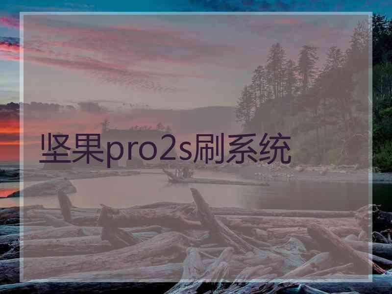 坚果pro2s刷系统