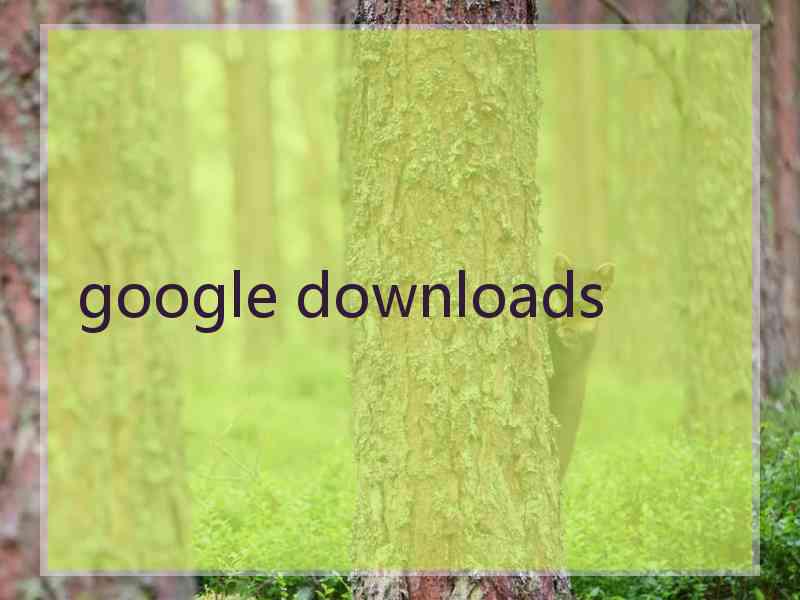 google downloads