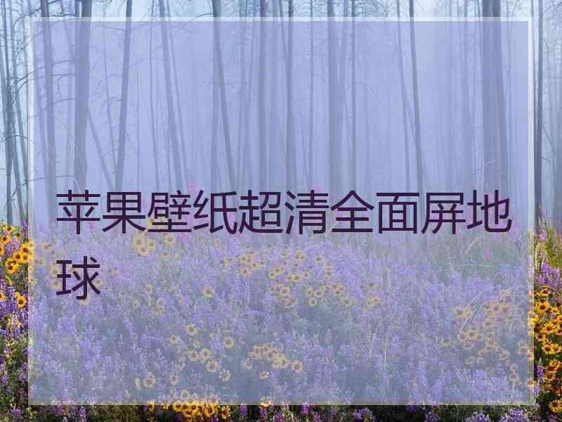 苹果壁纸超清全面屏地球