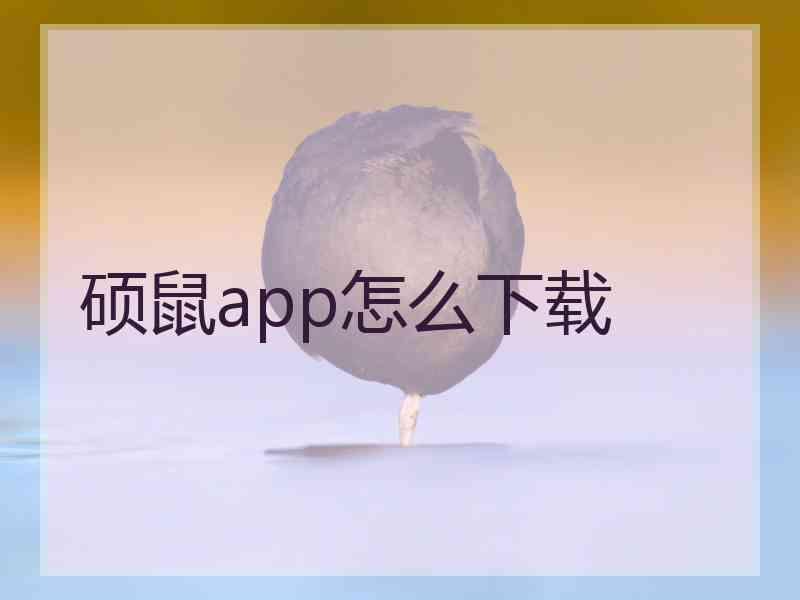 硕鼠app怎么下载