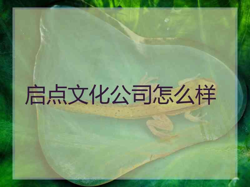 启点文化公司怎么样