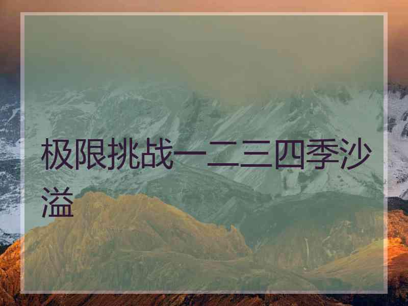 极限挑战一二三四季沙溢