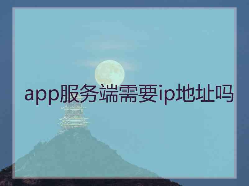 app服务端需要ip地址吗