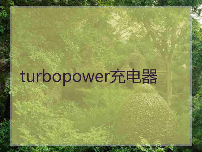 turbopower充电器