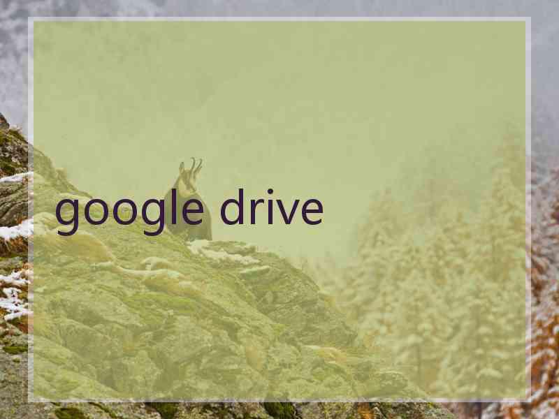 google drive