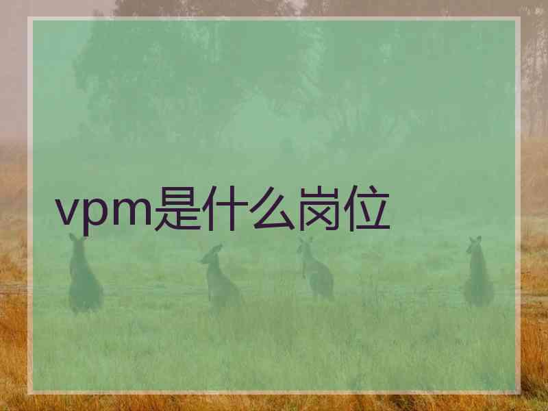 vpm是什么岗位