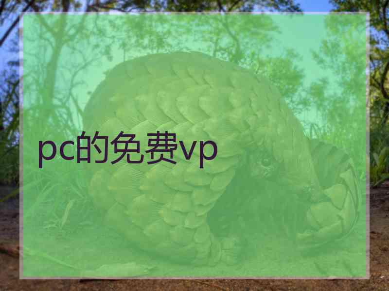 pc的免费vp