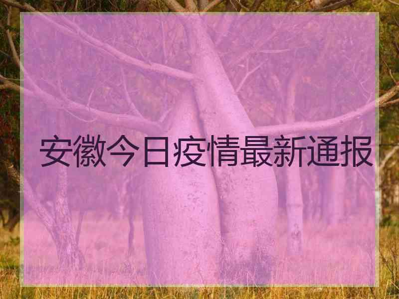 安徽今日疫情最新通报