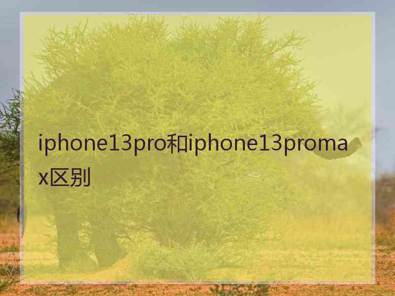 iphone13pro和iphone13promax区别