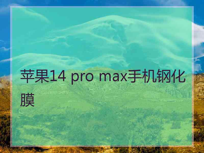 苹果14 pro max手机钢化膜