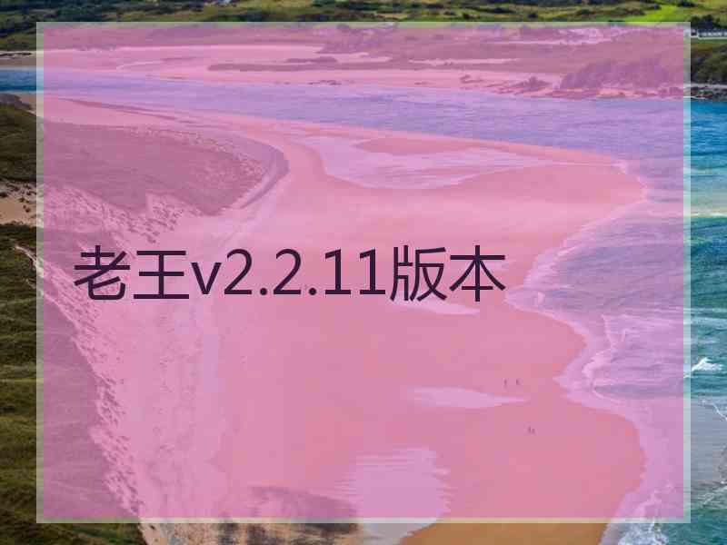 老王v2.2.11版本