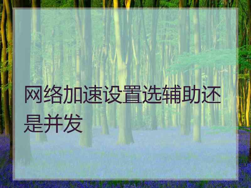 网络加速设置选辅助还是并发