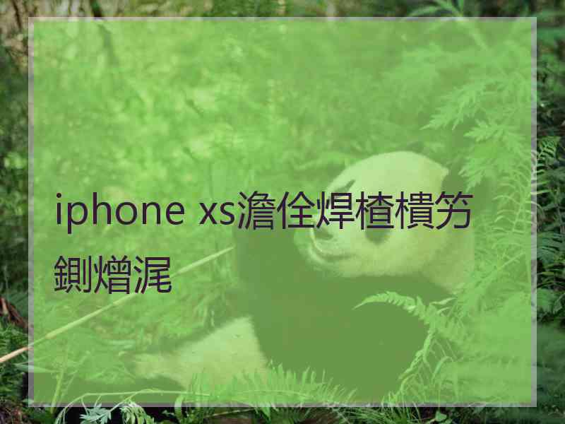 iphone xs澹佺焊楂樻竻鍘熷浘