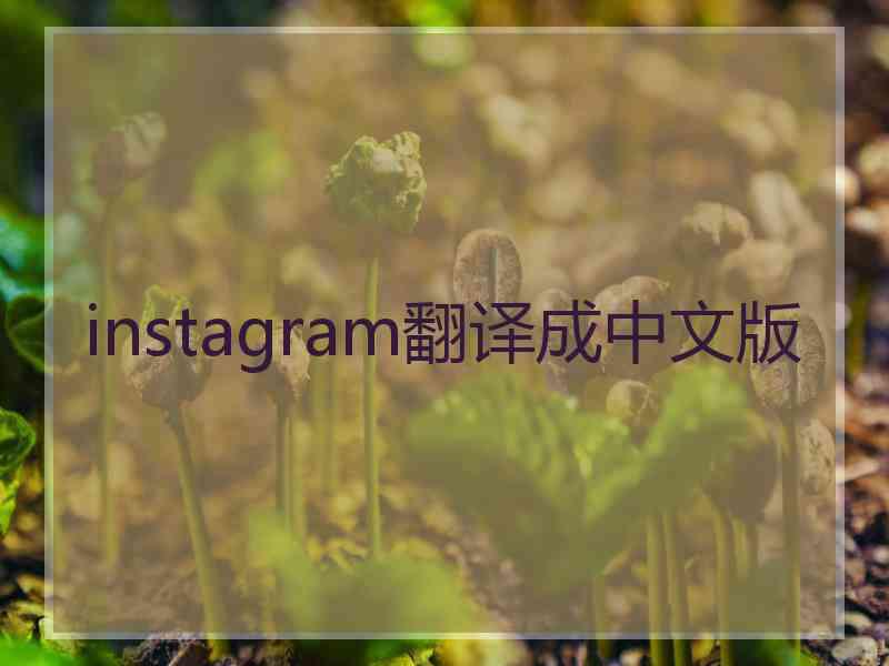 instagram翻译成中文版