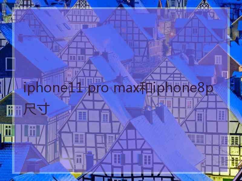 iphone11 pro max和iphone8p尺寸