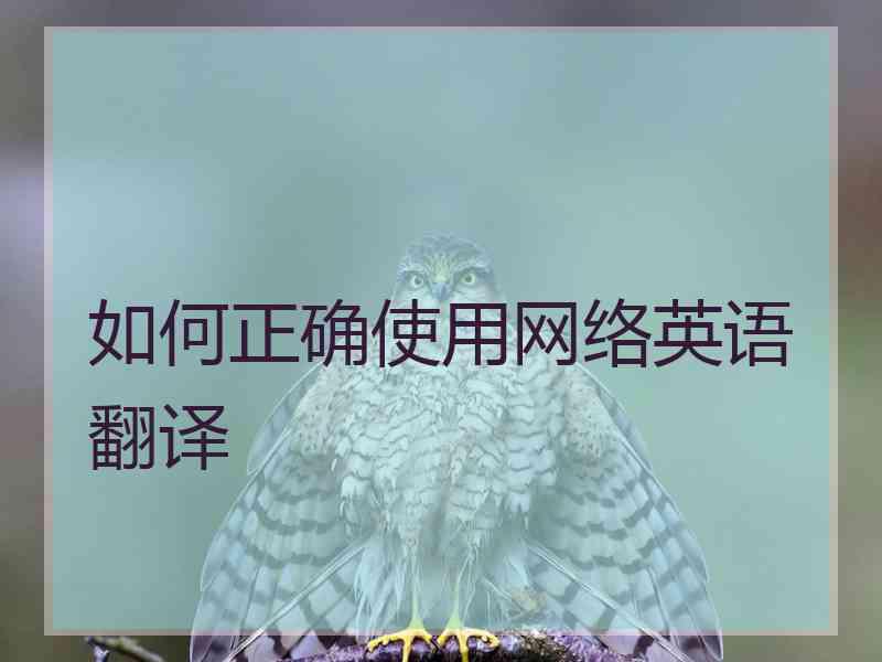 如何正确使用网络英语翻译