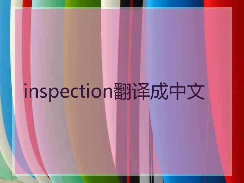 inspection翻译成中文