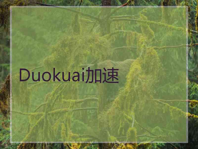 Duokuai加速