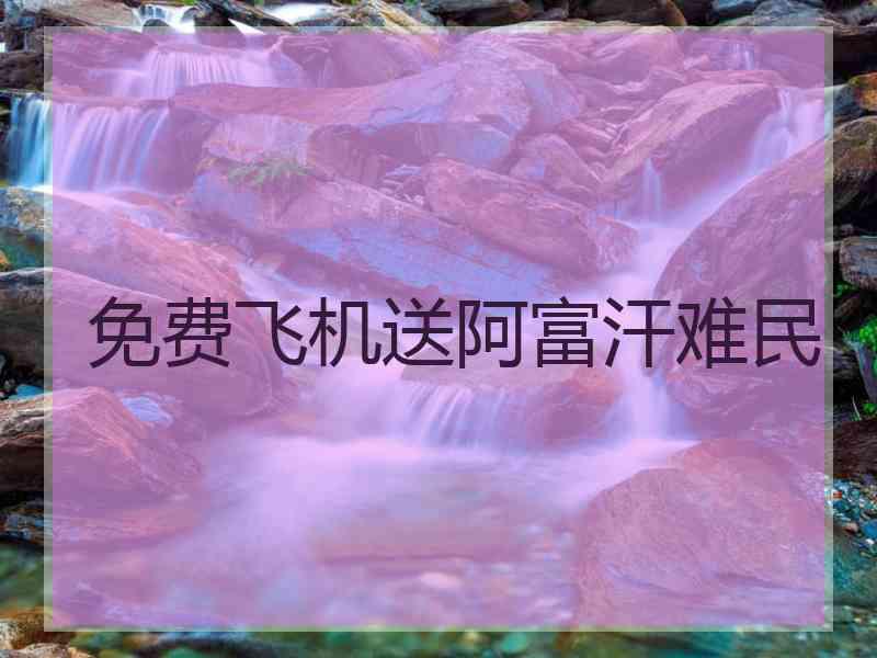 免费飞机送阿富汗难民