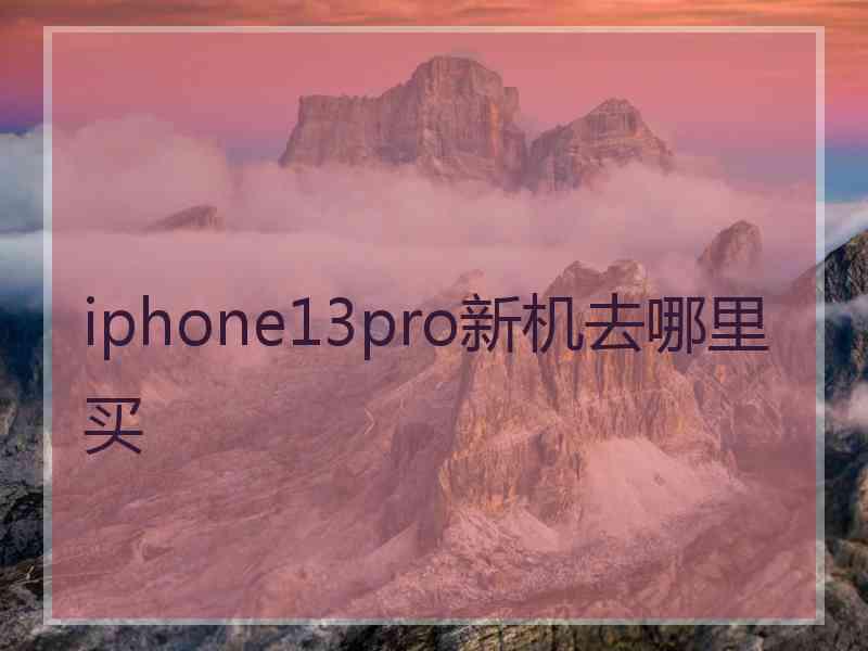 iphone13pro新机去哪里买