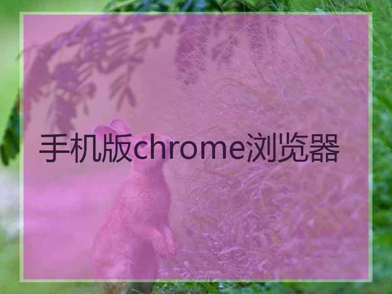 手机版chrome浏览器