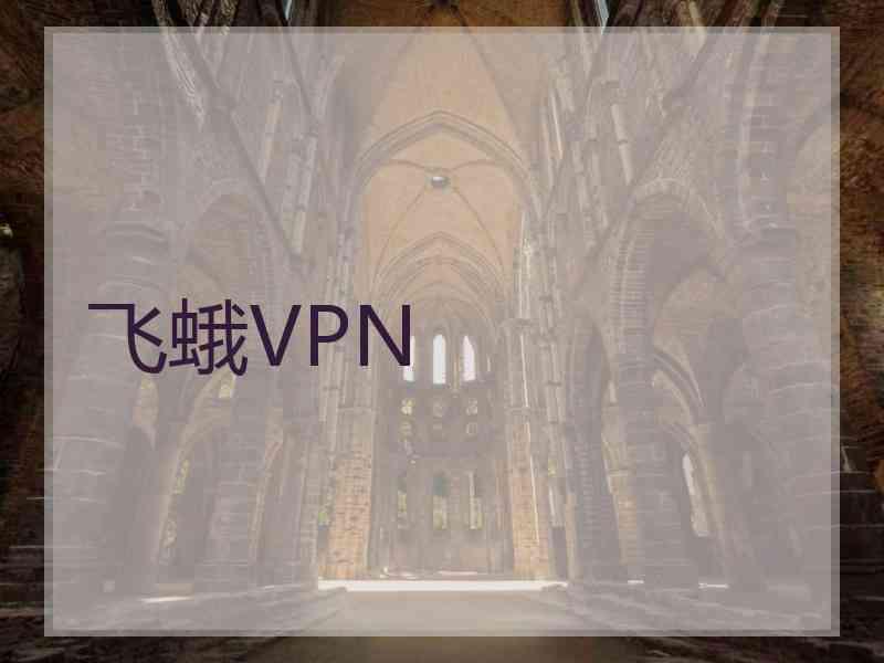 飞蛾VPN