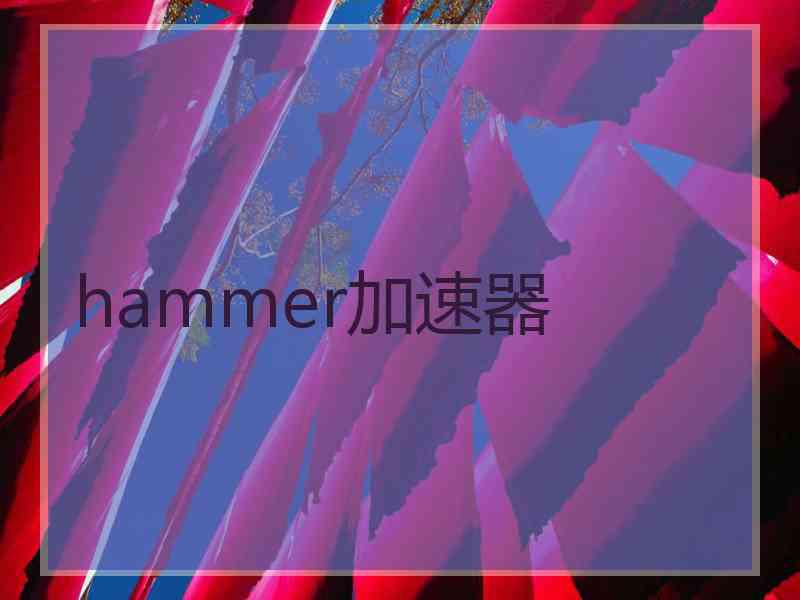 hammer加速器