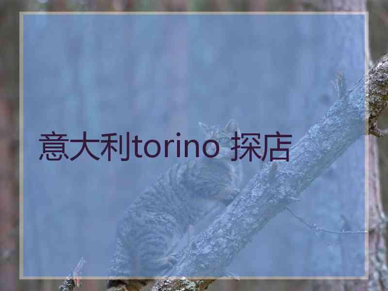 意大利torino 探店