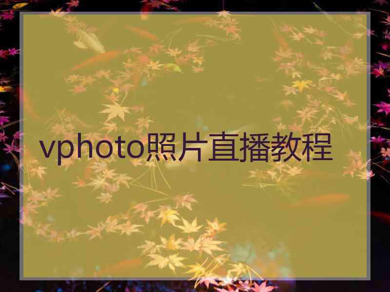 vphoto照片直播教程