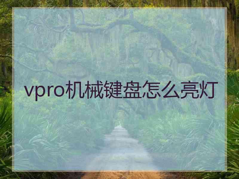 vpro机械键盘怎么亮灯