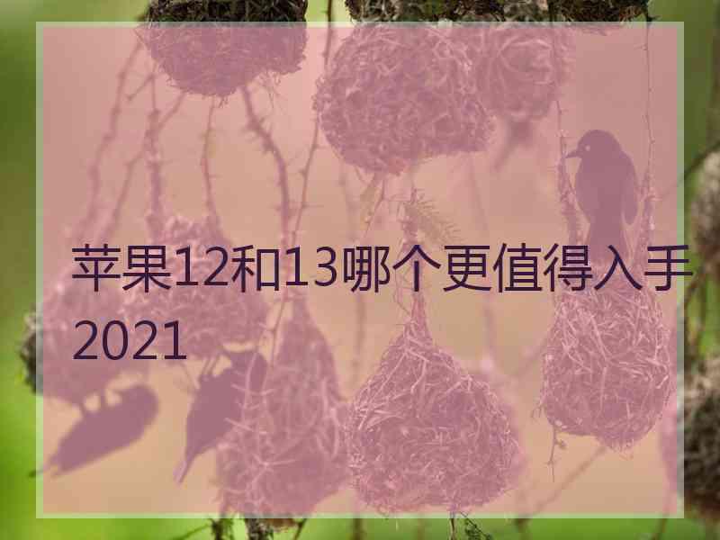 苹果12和13哪个更值得入手2021