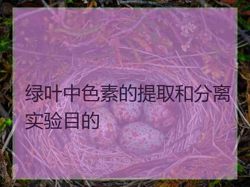 绿叶中色素的提取和分离实验目的