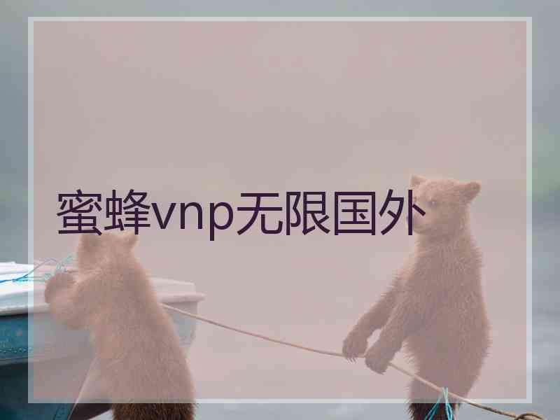 蜜蜂vnp无限国外