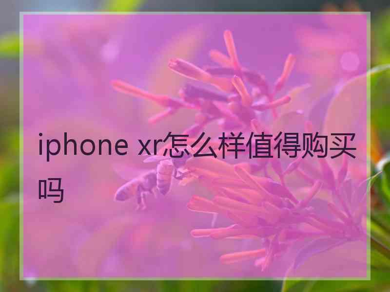 iphone xr怎么样值得购买吗