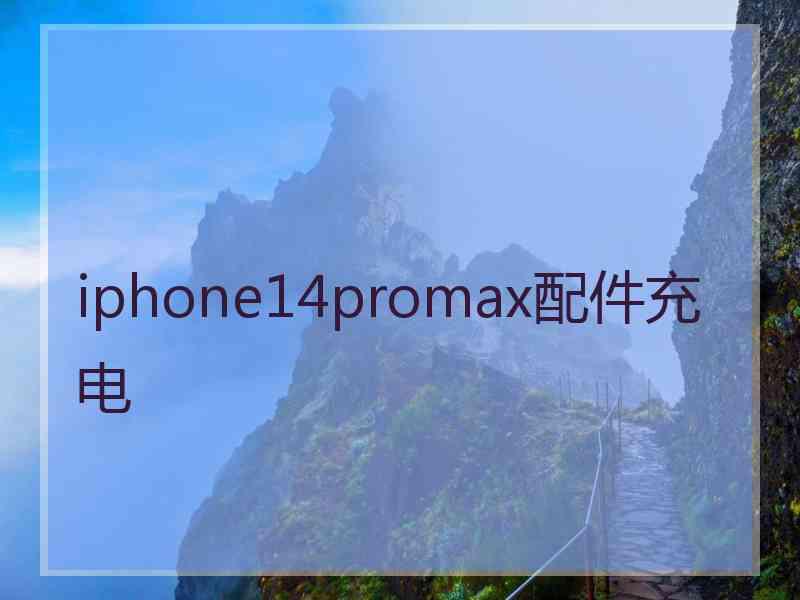 iphone14promax配件充电