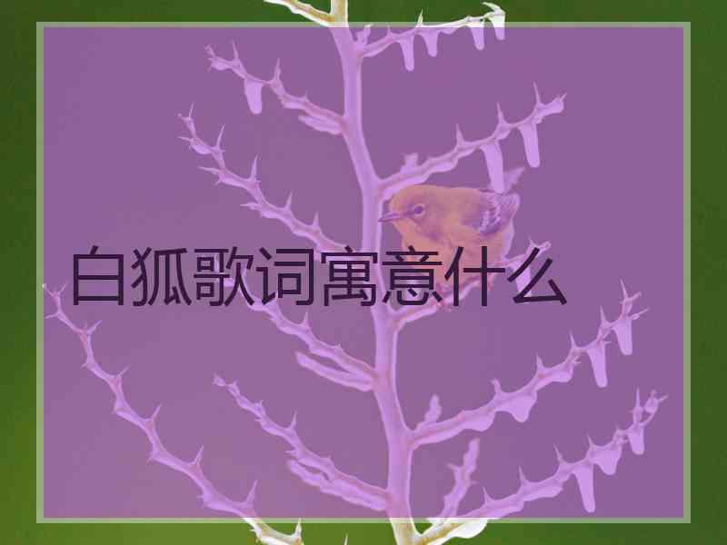 白狐歌词寓意什么