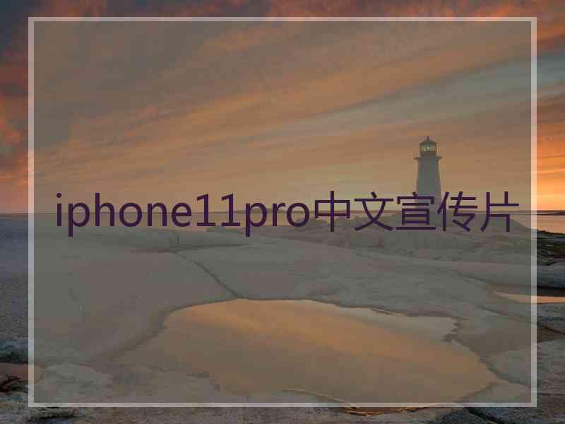 iphone11pro中文宣传片