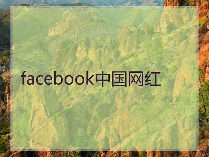 facebook中国网红