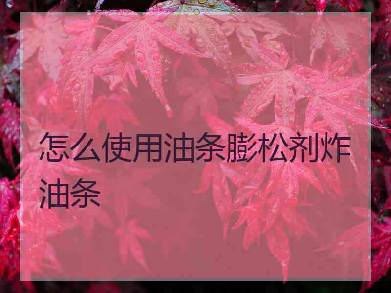 怎么使用油条膨松剂炸油条