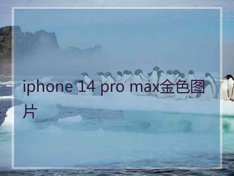 iphone 14 pro max金色图片