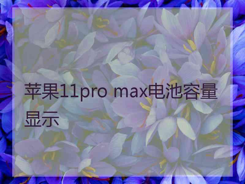 苹果11pro max电池容量显示