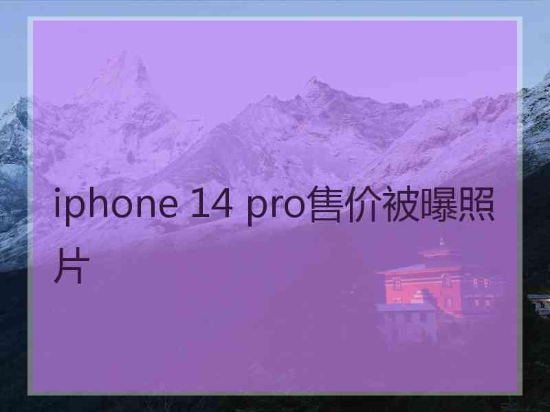 iphone 14 pro售价被曝照片