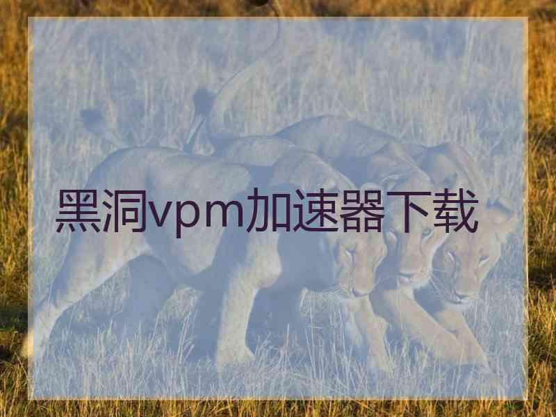 黑洞vpm加速器下载